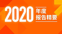 尊龙凯时新材2020年度报告精要