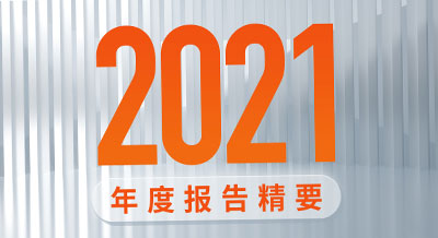 一图看懂尊龙凯时新材2021年度报告精要