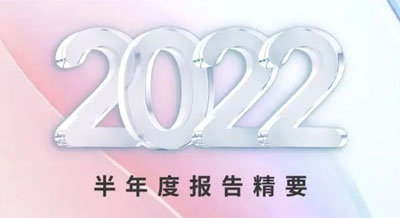 一张图看懂尊龙凯时新材2022半年度报告