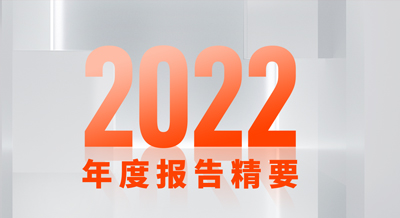 一张图看懂尊龙凯时新材2022年度报告